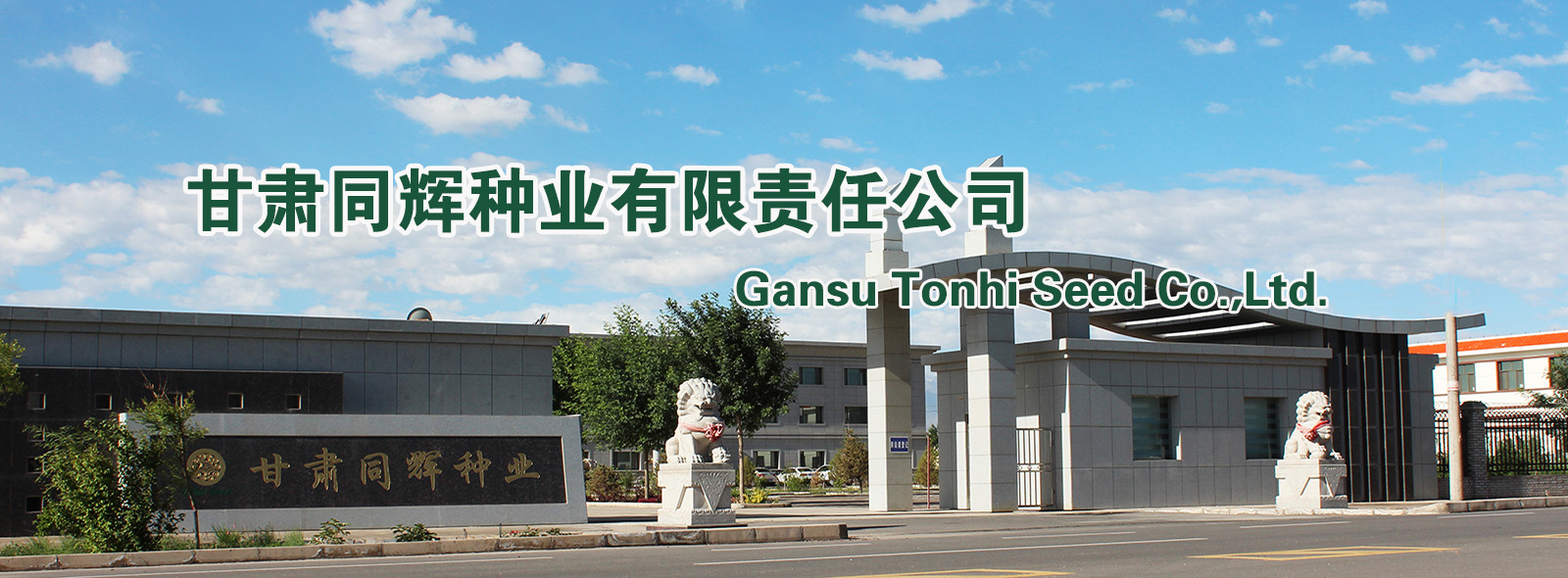 首頁(yè)banner 首頁(yè)banner